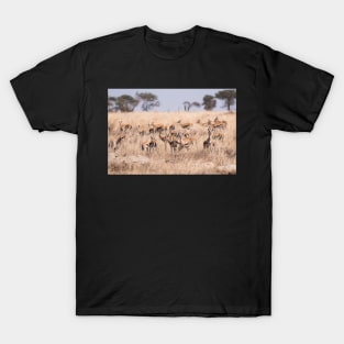 Thomson's Gazelle (Serengeti) #2 T-Shirt